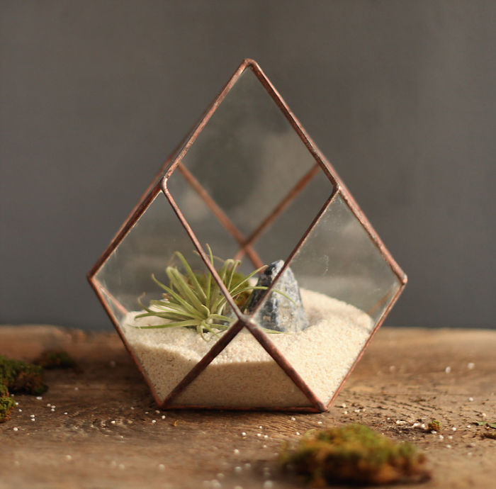 I Reimagined The Terrarium I Reimagined The Terrarium