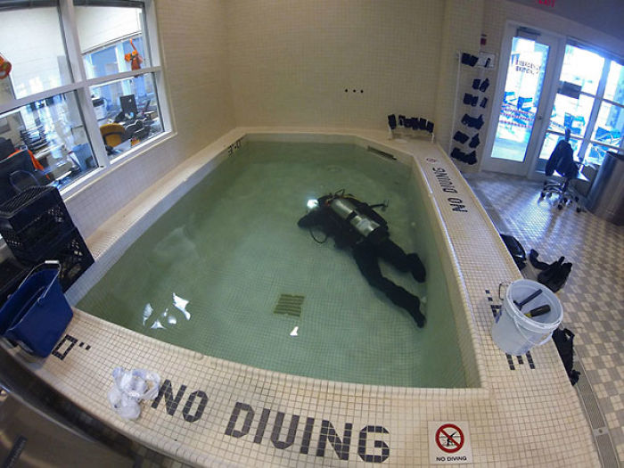 196 First-World Anarchist Who Don’t Give A Damn About Your Rules 196 First-World Anarchist Who Don’t Give A Damn About Your Rules