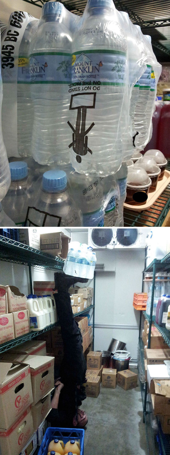 196 First-World Anarchist Who Don’t Give A Damn About Your Rules 196 First-World Anarchist Who Don’t Give A Damn About Your Rules