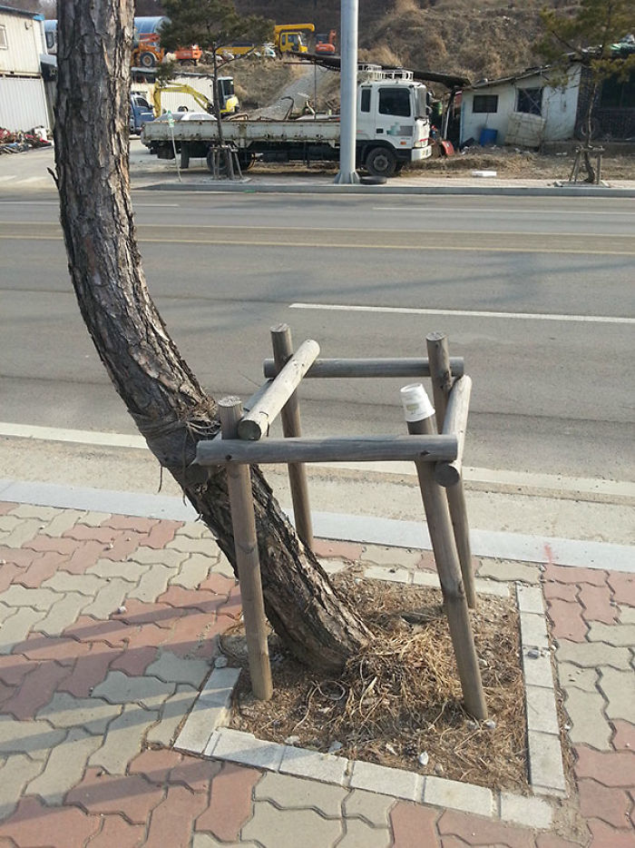 196 First-World Anarchist Who Don’t Give A Damn About Your Rules 196 First-World Anarchist Who Don’t Give A Damn About Your Rules