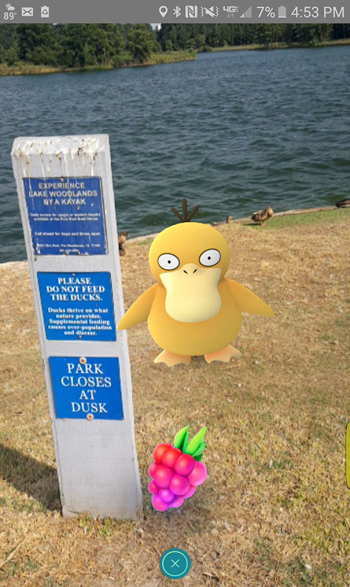 196 First-World Anarchist Who Don’t Give A Damn About Your Rules 196 First-World Anarchist Who Don’t Give A Damn About Your Rules