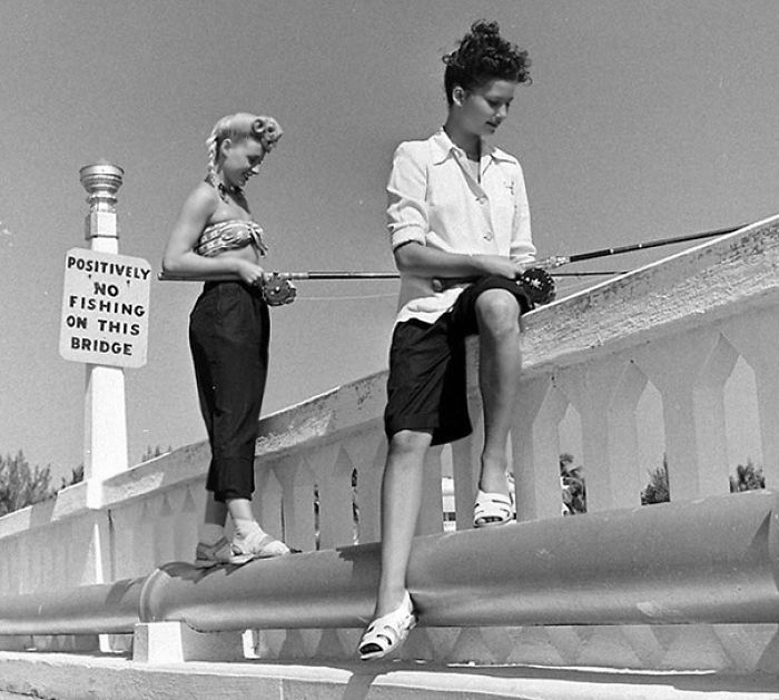 196 First-World Anarchist Who Don’t Give A Damn About Your Rules 196 First-World Anarchist Who Don’t Give A Damn About Your Rules