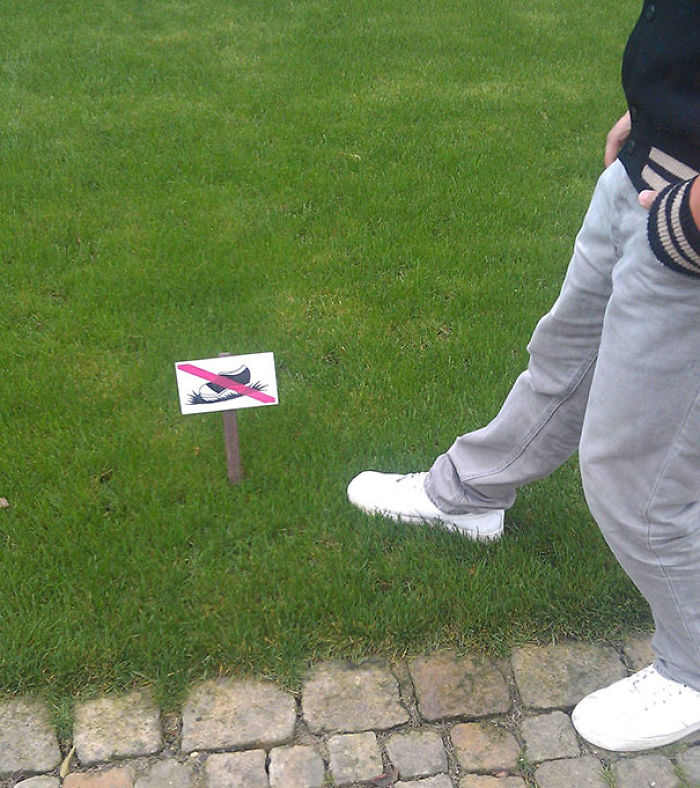 196 First-World Anarchist Who Don’t Give A Damn About Your Rules 196 First-World Anarchist Who Don’t Give A Damn About Your Rules