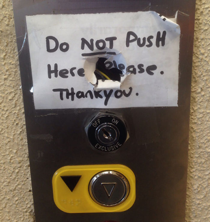196 First-World Anarchist Who Don’t Give A Damn About Your Rules 196 First-World Anarchist Who Don’t Give A Damn About Your Rules