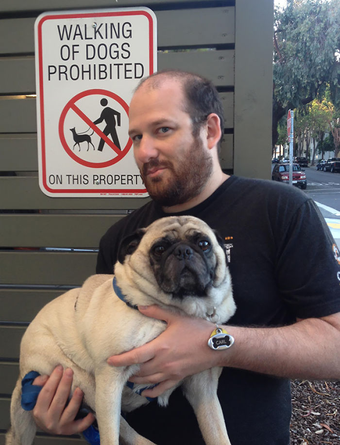 196 First-World Anarchist Who Don’t Give A Damn About Your Rules 196 First-World Anarchist Who Don’t Give A Damn About Your Rules