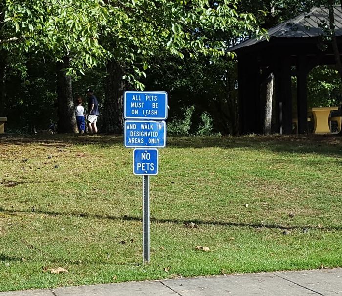 196 First-World Anarchist Who Don’t Give A Damn About Your Rules 196 First-World Anarchist Who Don’t Give A Damn About Your Rules