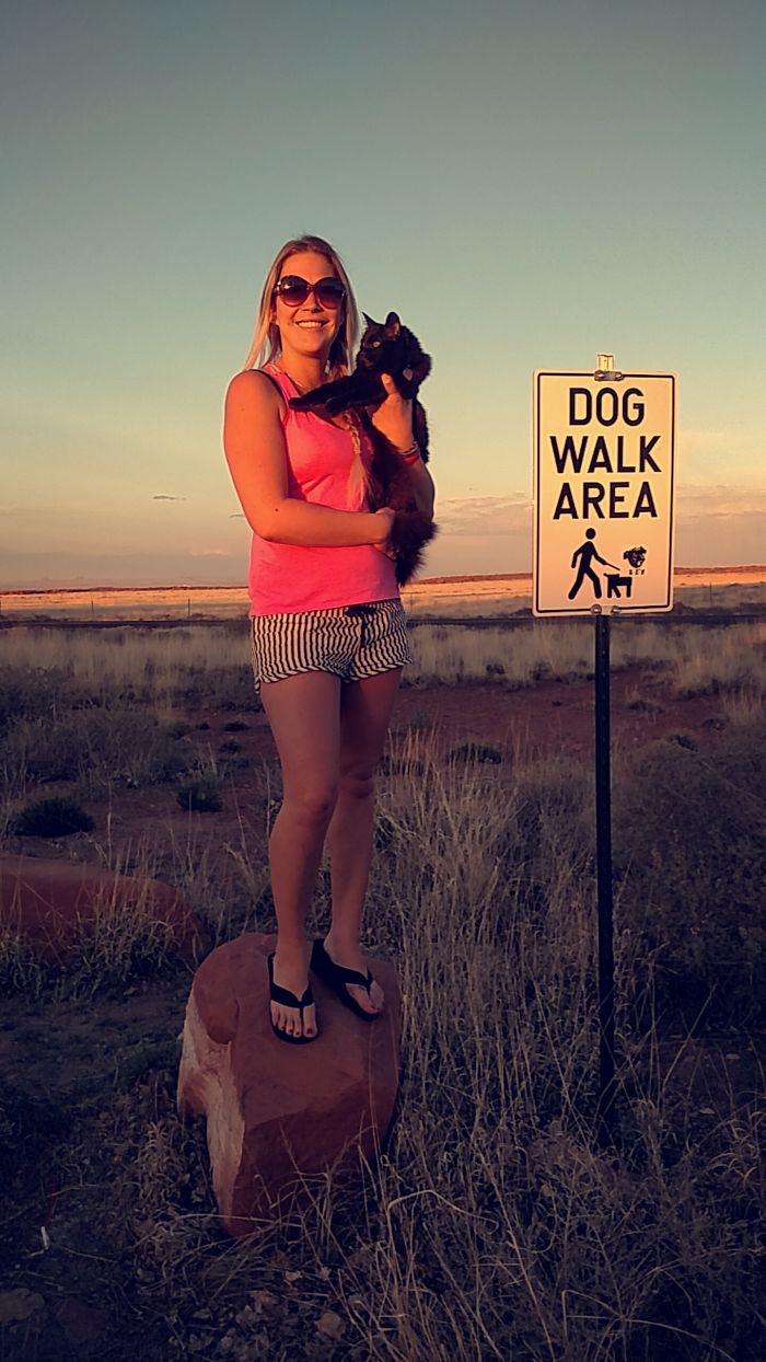 196 First-World Anarchist Who Don’t Give A Damn About Your Rules 196 First-World Anarchist Who Don’t Give A Damn About Your Rules