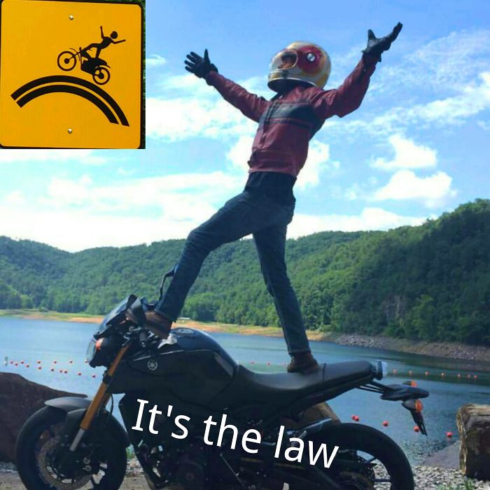 196 First-World Anarchist Who Don’t Give A Damn About Your Rules 196 First-World Anarchist Who Don’t Give A Damn About Your Rules