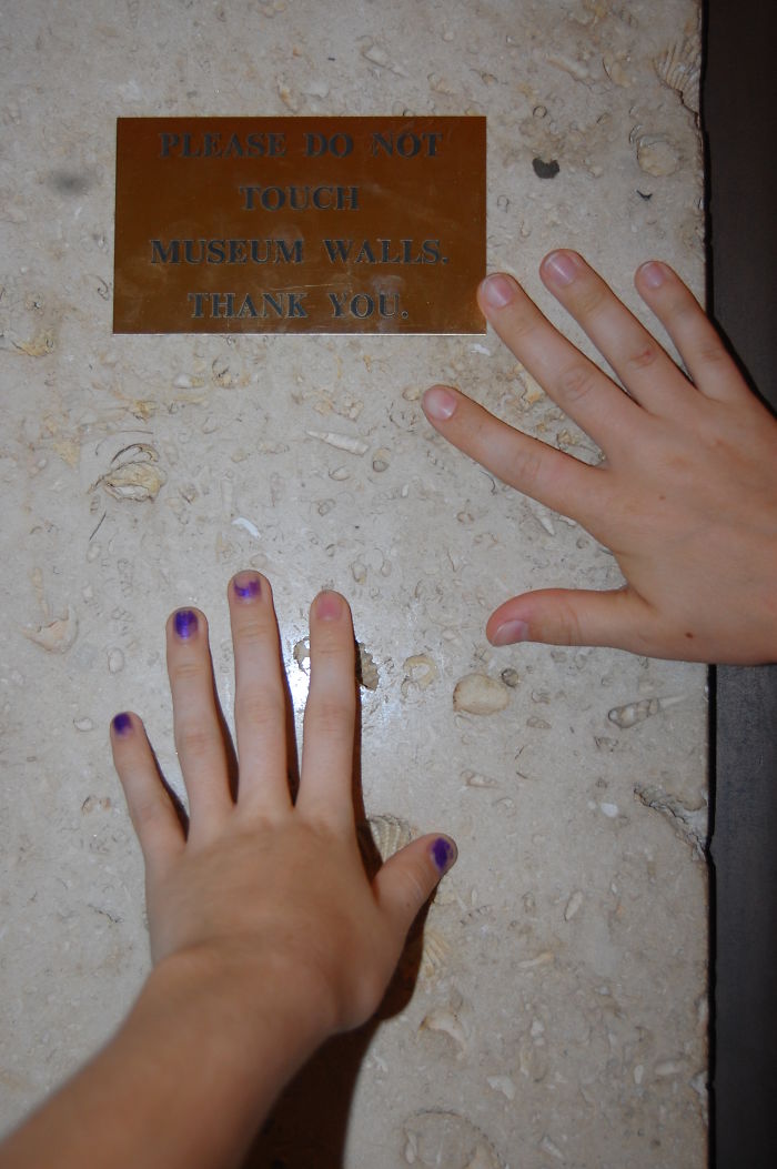 196 First-World Anarchist Who Don’t Give A Damn About Your Rules 196 First-World Anarchist Who Don’t Give A Damn About Your Rules