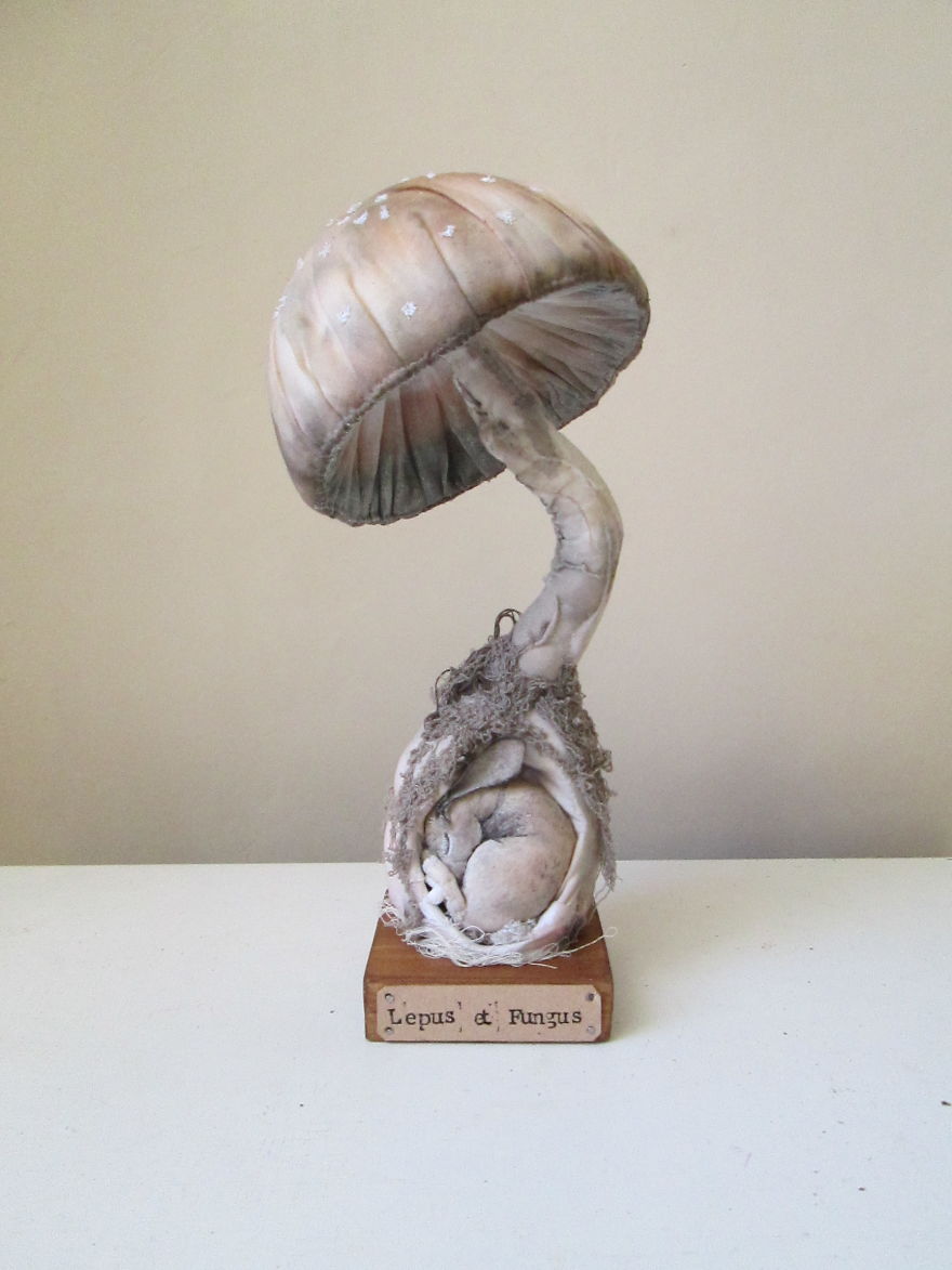 I Create Animal Pillows For People Who Love Nature, Dreams And Fairy Tales