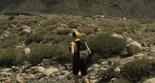 Stray Dog Joins 155-Mile Race, Finishes It With A New Dad