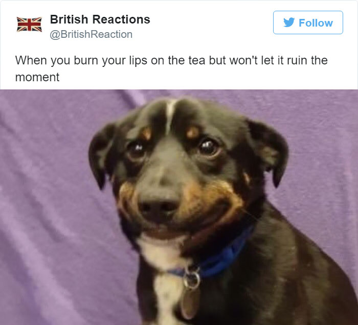 46 Hilariously Accurate Tweets That Sum Up What It Means To Be British 46 Hilariously Accurate Tweets That Sum Up What It Means To Be British
