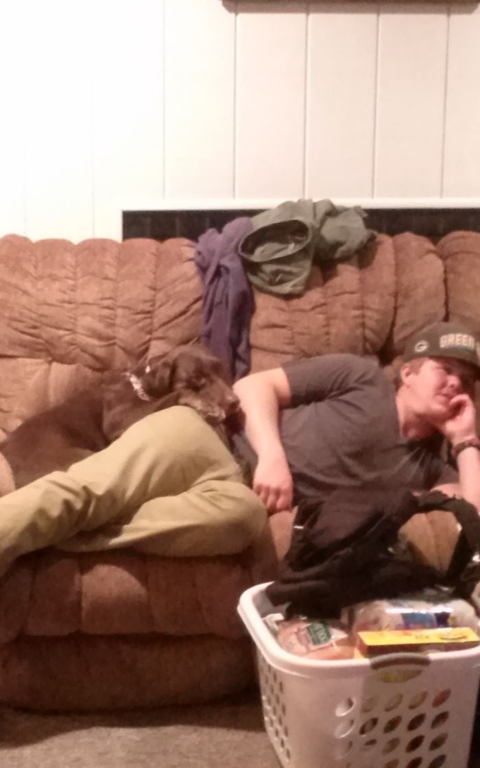 105 Desperate Dogs Who Just Want To Say Hi