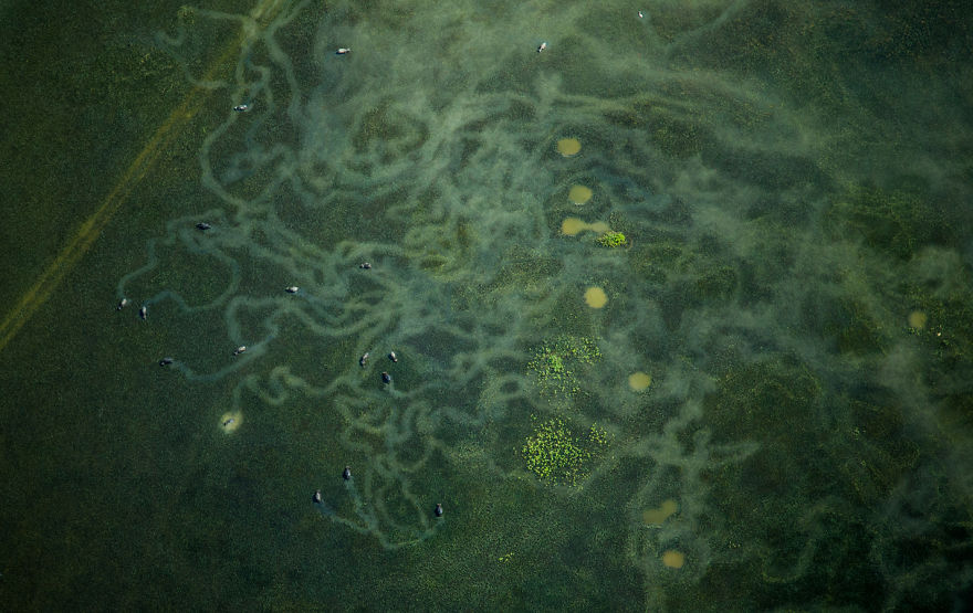 I’m A Bangladeshi Aviator And I Want To Show My Motherland From The Top I’m A Bangladeshi Aviator And I Want To Show My Motherland From The Top