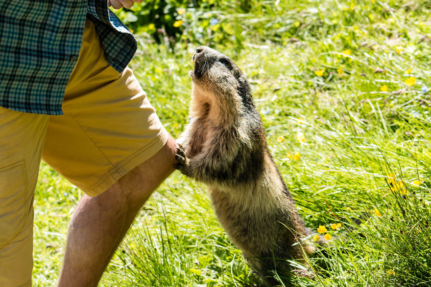 I Spent Three Weeks Exploring The European Alps To Bring Back These Photos. It Was Stunning! I Spent Three Weeks Exploring The European Alps To Bring Back These Photos. It Was Stunning!