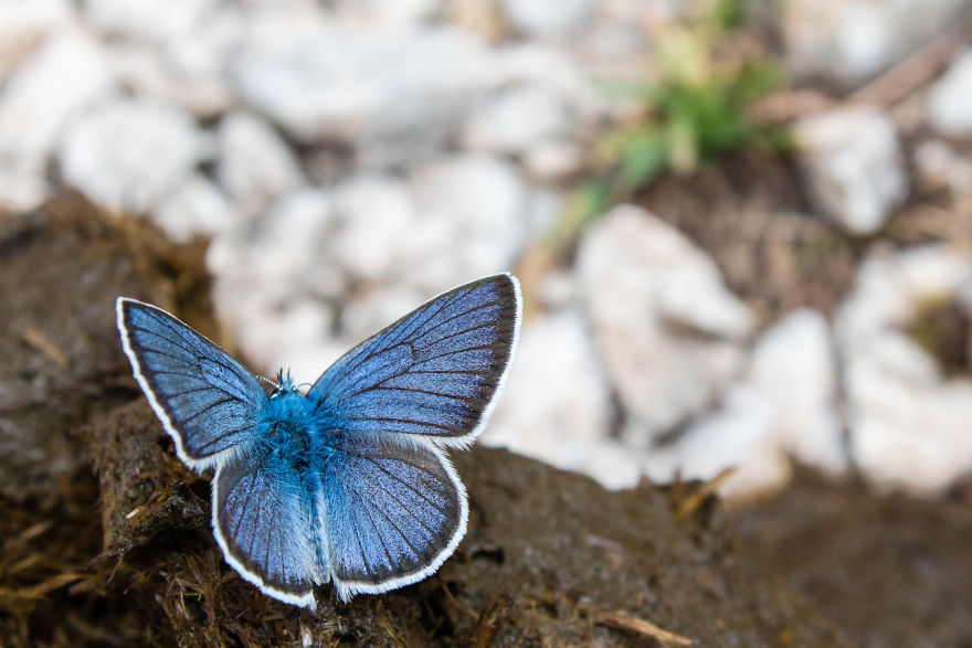 I Spent Three Weeks Exploring The European Alps To Bring Back These Photos. It Was Stunning! I Spent Three Weeks Exploring The European Alps To Bring Back These Photos. It Was Stunning!