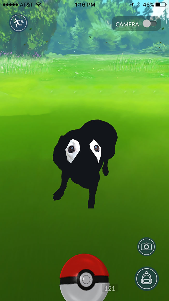 This Black Lab Is Slowly Turning White, So Internet Responds With Photoshop Battle