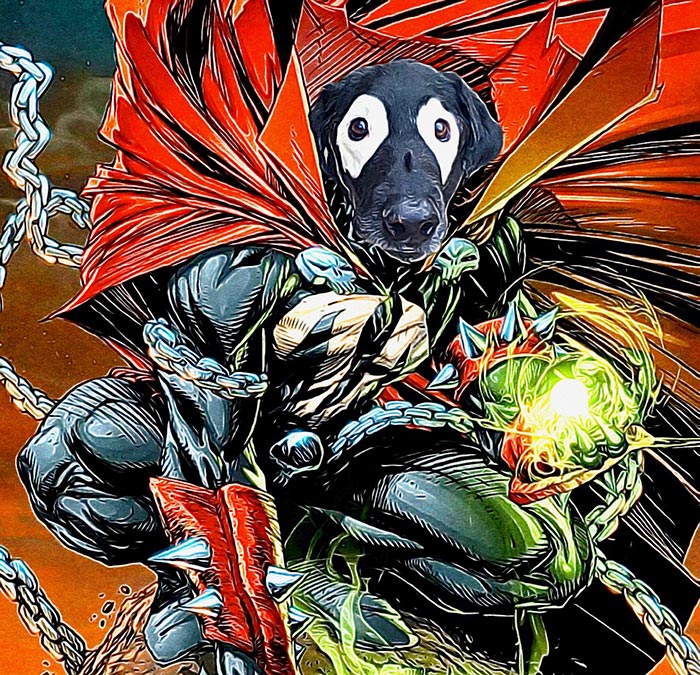 This Black Lab Is Slowly Turning White, So Internet Responds With Photoshop Battle