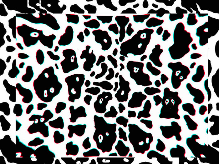 This Black Lab Is Slowly Turning White, So Internet Responds With Photoshop Battle