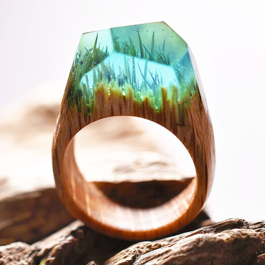 New Miniature Worlds Inside Wooden Rings Capture The Beauty Of Different Seasons