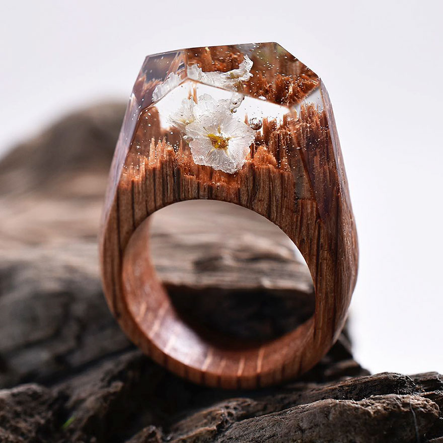 New Miniature Worlds Inside Wooden Rings Capture The Beauty Of Different Seasons