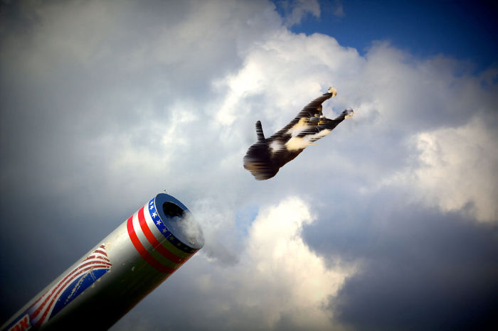 Photoshop The Real Reason Why This Cat Stands On Its Legs With Paws Up Photoshop The Real Reason Why This Cat Stands On Its Legs With Paws Up