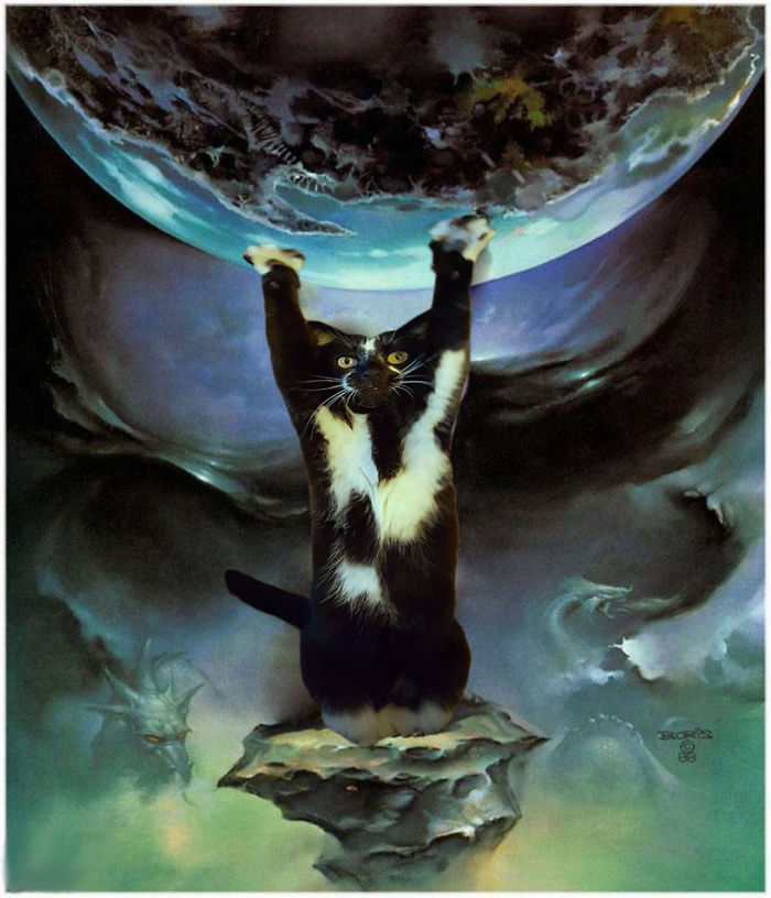 Photoshop The Real Reason Why This Cat Stands On Its Legs With Paws Up Photoshop The Real Reason Why This Cat Stands On Its Legs With Paws Up