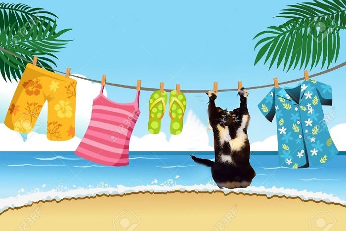 Photoshop The Real Reason Why This Cat Stands On Its Legs With Paws Up Photoshop The Real Reason Why This Cat Stands On Its Legs With Paws Up