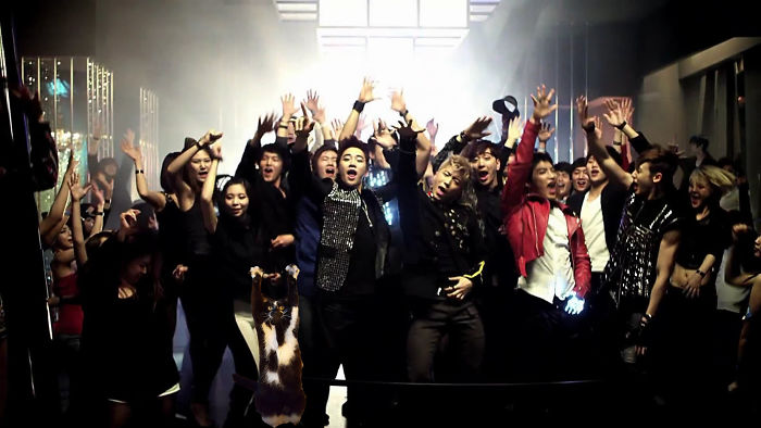 Photoshop The Real Reason Why This Cat Stands On Its Legs With Paws Up Photoshop The Real Reason Why This Cat Stands On Its Legs With Paws Up