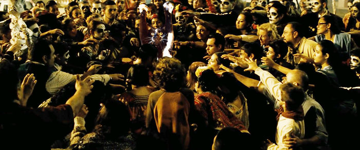 Photoshop The Real Reason Why This Cat Stands On Its Legs With Paws Up Photoshop The Real Reason Why This Cat Stands On Its Legs With Paws Up