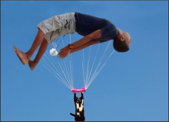 Photoshop The Real Reason Why This Cat Stands On Its Legs With Paws Up Photoshop The Real Reason Why This Cat Stands On Its Legs With Paws Up