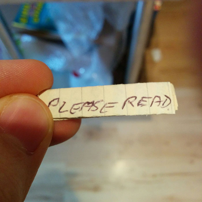 Cat Owner Finds A Note Attached To Its Collar, Learns Her Secret Cat Owner Finds A Note Attached To Its Collar, Learns Her Secret