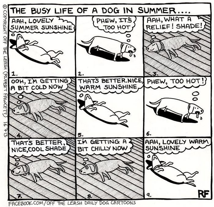 94 Hilarious Comics About Life With Dogs By “Off The Leash” 94 Hilarious Comics About Life With Dogs By “Off The Leash”