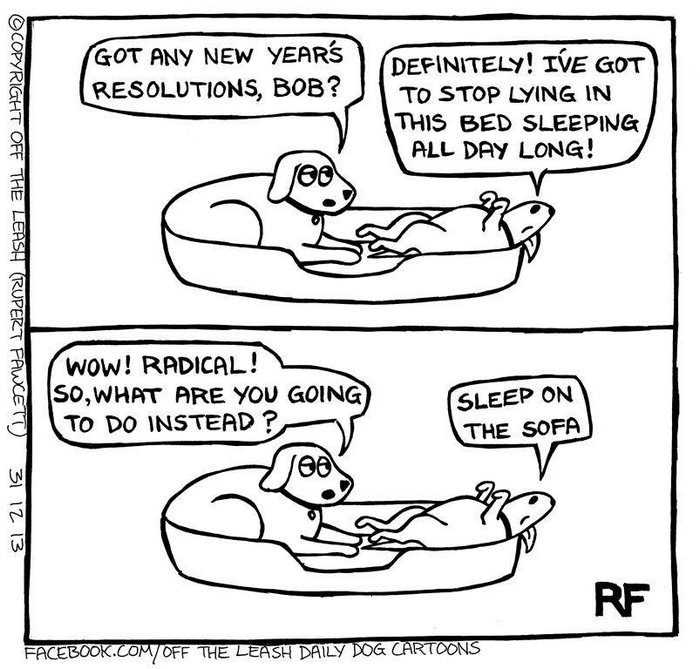 94 Hilarious Comics About Life With Dogs By “Off The Leash” 94 Hilarious Comics About Life With Dogs By “Off The Leash”