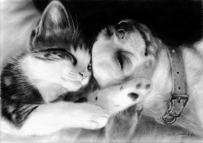 I Paint Animal Portraits Using A Rare Technique, Oil On Paper I Paint Animal Portraits Using A Rare Technique, Oil On Paper