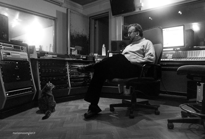 Cats At Work: I Captured Cats Living In People’s Working Places Cats At Work: I Captured Cats Living In People’s Working Places