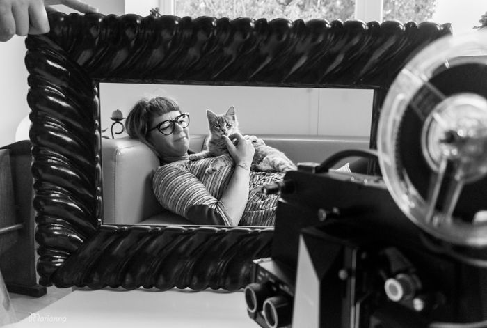 Cats At Work: I Captured Cats Living In People’s Working Places Cats At Work: I Captured Cats Living In People’s Working Places