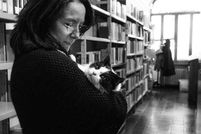 Cats At Work: I Captured Cats Living In People’s Working Places Cats At Work: I Captured Cats Living In People’s Working Places