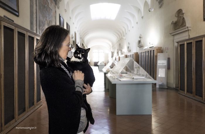 Cats At Work: I Captured Cats Living In People’s Working Places Cats At Work: I Captured Cats Living In People’s Working Places