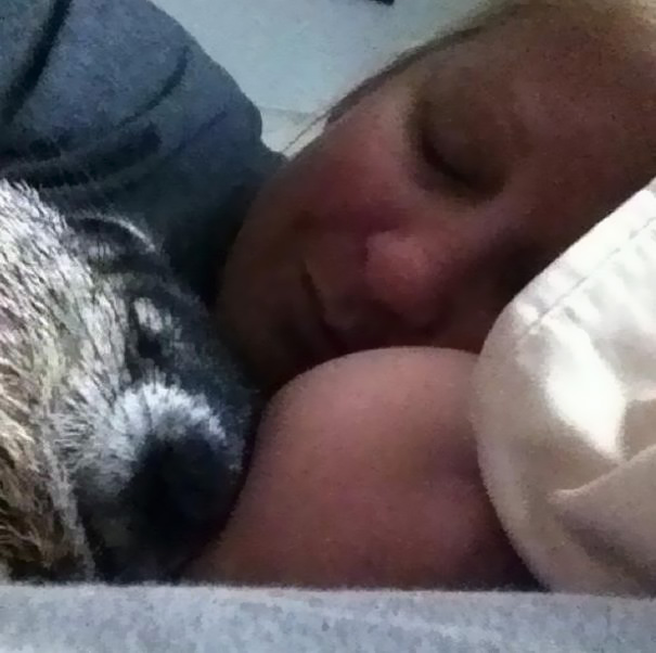 Blind Woodchuck Saved From Death In A Backyard Cannot Stop Snuggling With Its Rescuers Blind Woodchuck Saved From Death In A Backyard Cannot Stop Snuggling With Its Rescuers