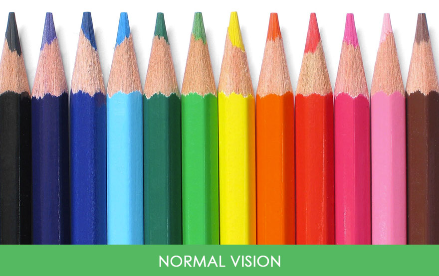 You’ll Be Amazed How People With Color Blindness See The World (57 Pics) You’ll Be Amazed How People With Color Blindness See The World (57 Pics)