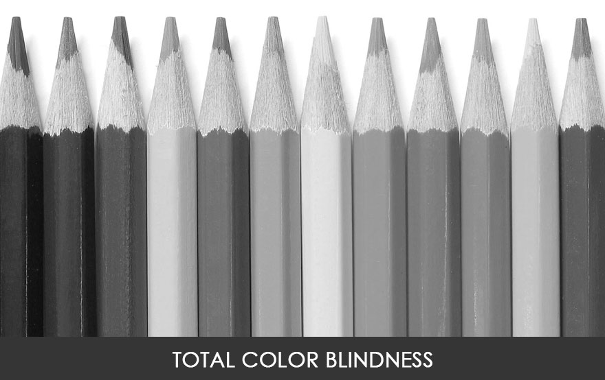 You&#8217;ll Be Amazed How People With Color Blindness See The World (57 Pics)