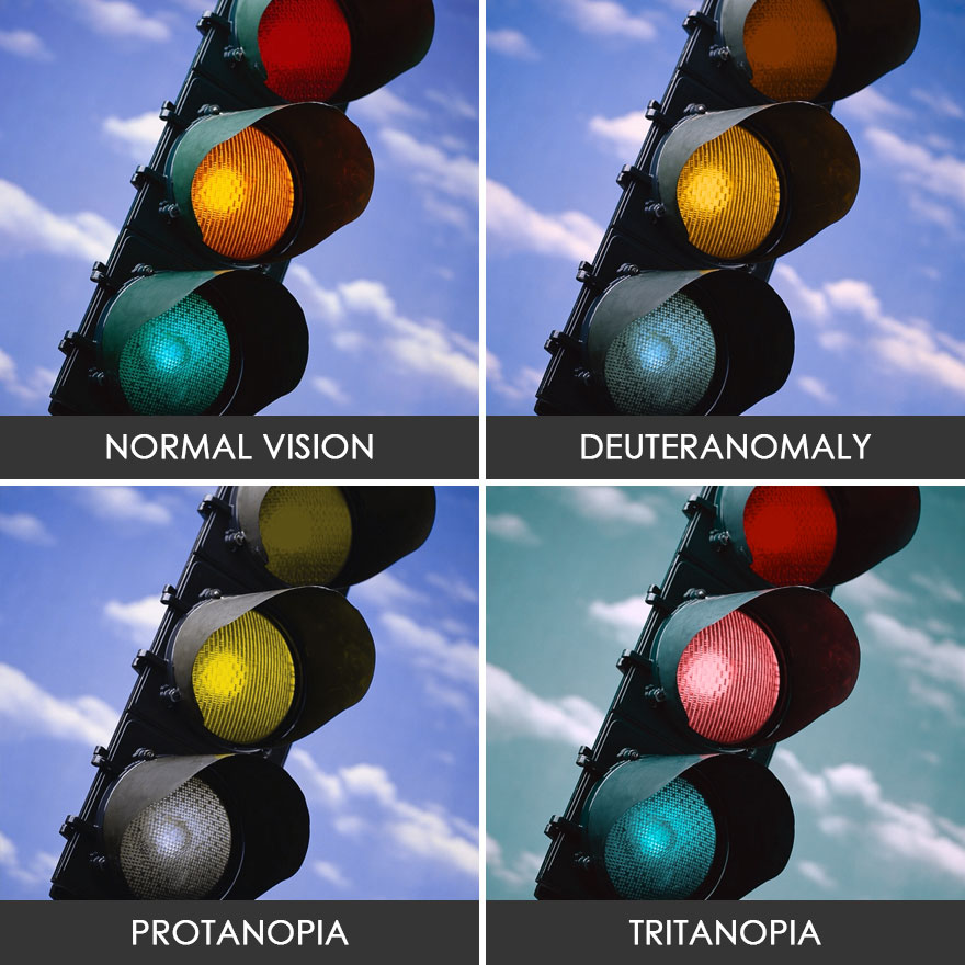 You’ll Be Amazed How People With Color Blindness See The World (57 Pics) You’ll Be Amazed How People With Color Blindness See The World (57 Pics)