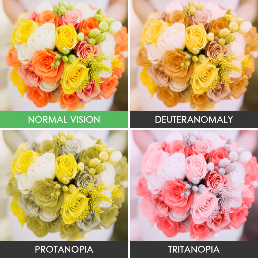 You’ll Be Amazed How People With Color Blindness See The World (57 Pics) You’ll Be Amazed How People With Color Blindness See The World (57 Pics)