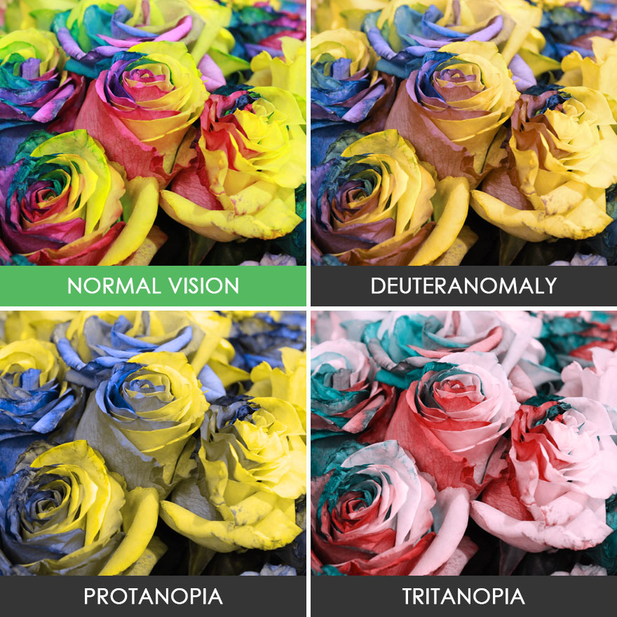 You’ll Be Amazed How People With Color Blindness See The World (57 Pics) You’ll Be Amazed How People With Color Blindness See The World (57 Pics)