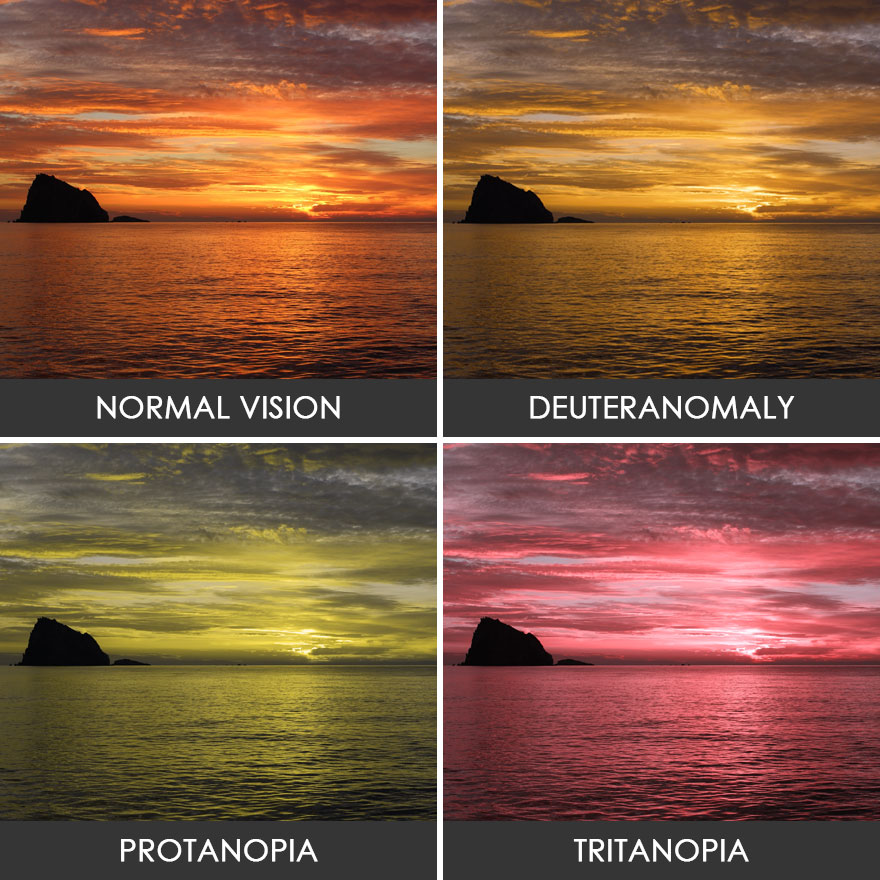 You’ll Be Amazed How People With Color Blindness See The World (57 Pics) You’ll Be Amazed How People With Color Blindness See The World (57 Pics)