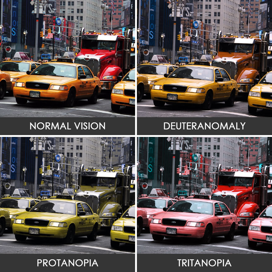 You’ll Be Amazed How People With Color Blindness See The World (57 Pics) You’ll Be Amazed How People With Color Blindness See The World (57 Pics)