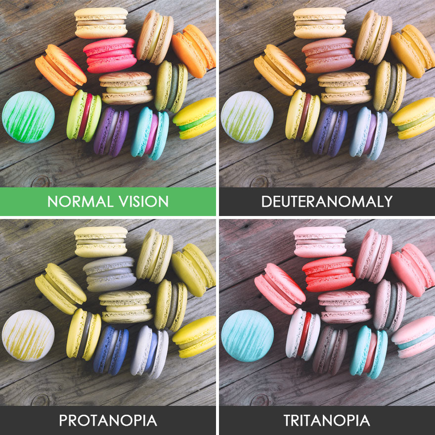 You’ll Be Amazed How People With Color Blindness See The World (57 Pics) You’ll Be Amazed How People With Color Blindness See The World (57 Pics)