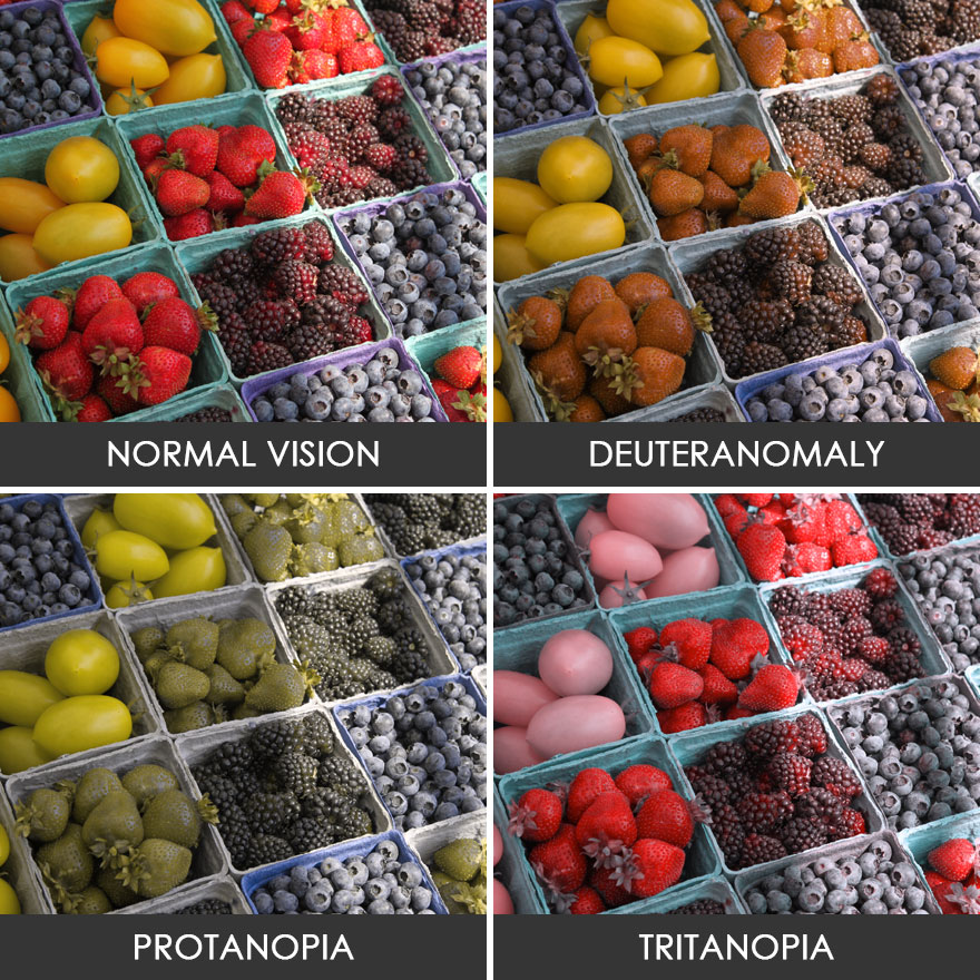 You’ll Be Amazed How People With Color Blindness See The World (57 Pics) You’ll Be Amazed How People With Color Blindness See The World (57 Pics)