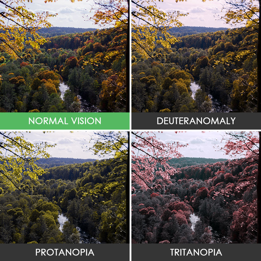 You&#8217;ll Be Amazed How People With Color Blindness See The World (57 Pics)